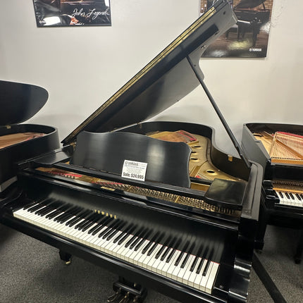 Yamaha C7 Semi concert grand (Used)