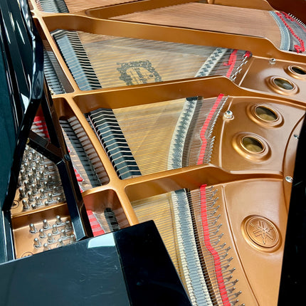 Used Yamaha DGB1KENST Disklavier (Current model) Player Baby Grand 4 Years old!