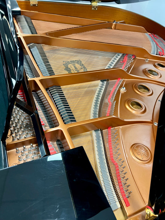 Used Yamaha DGB1KENST Disklavier (Current model) Player Baby Grand 4 Years old!