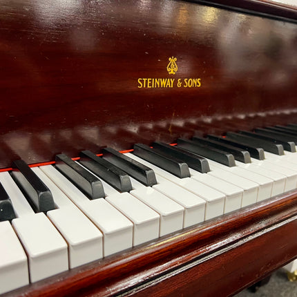 Used Steinway model M (Rebuilt)