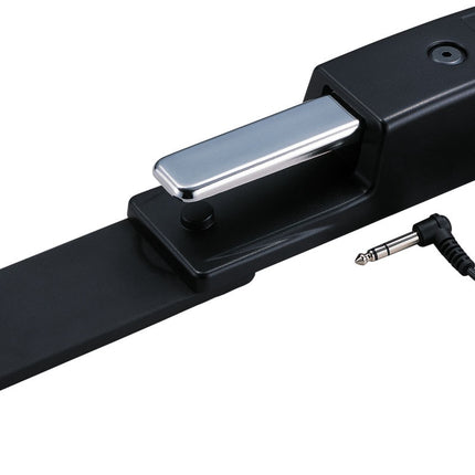 Roland DP10 Damper Sustain pedal with Half pedal control