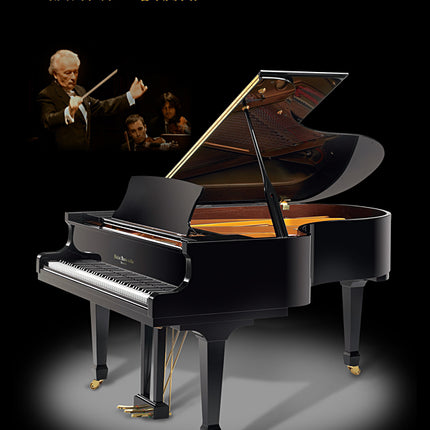 Hallet Davis HS 170 EP Premier Grand