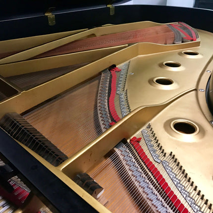 Yamaha C7 Semi concert grand (Used)