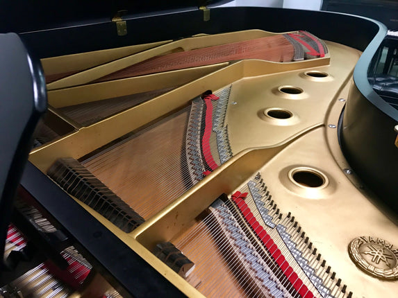 Yamaha C7 Semi concert grand (Used)